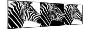 Safari Profile Collection - Zebras IV-Philippe Hugonnard-Mounted Photographic Print