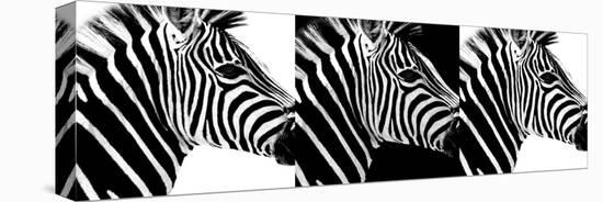 Safari Profile Collection - Zebras IV-Philippe Hugonnard-Stretched Canvas