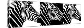 Safari Profile Collection - Zebras IV-Philippe Hugonnard-Stretched Canvas