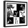 Safari Profile Collection-Philippe Hugonnard-Framed Premium Photographic Print