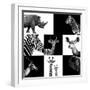 Safari Profile Collection-Philippe Hugonnard-Framed Premium Photographic Print