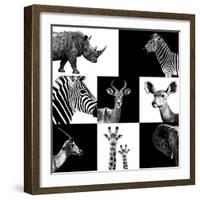 Safari Profile Collection-Philippe Hugonnard-Framed Photographic Print