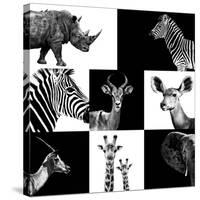 Safari Profile Collection-Philippe Hugonnard-Stretched Canvas