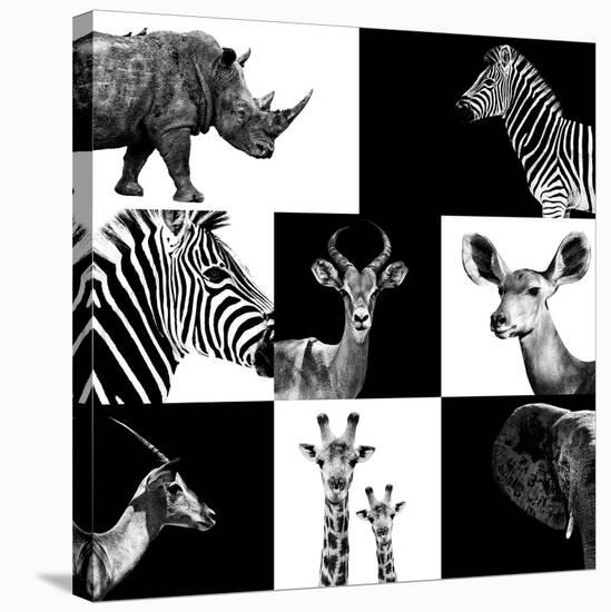 Safari Profile Collection-Philippe Hugonnard-Stretched Canvas