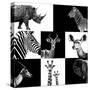 Safari Profile Collection-Philippe Hugonnard-Stretched Canvas