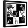 Safari Profile Collection-Philippe Hugonnard-Framed Photographic Print