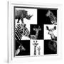 Safari Profile Collection-Philippe Hugonnard-Framed Photographic Print