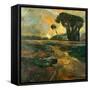 Safari Road-Stevens Allayn-Framed Stretched Canvas