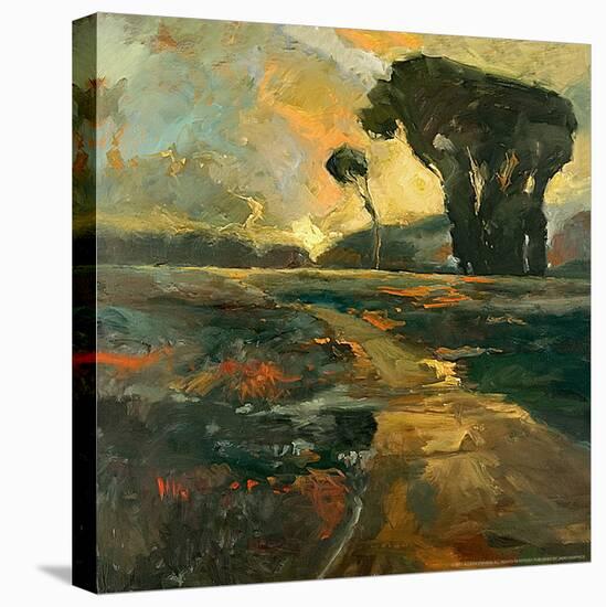 Safari Road-Stevens Allayn-Stretched Canvas
