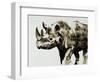 Safari Scenes II-Sydney Edmunds-Framed Giclee Print