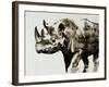 Safari Scenes II-Sydney Edmunds-Framed Giclee Print