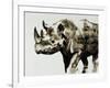 Safari Scenes II-Sydney Edmunds-Framed Giclee Print