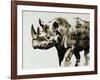 Safari Scenes II-Sydney Edmunds-Framed Giclee Print