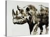 Safari Scenes II-Sydney Edmunds-Stretched Canvas