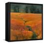 Safari Stream-Stevens Allayn-Framed Stretched Canvas