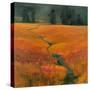 Safari Stream-Stevens Allayn-Stretched Canvas