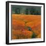 Safari Stream-Stevens Allayn-Framed Art Print