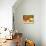 Safari Sunrise II-Pam Ilosky-Stretched Canvas displayed on a wall