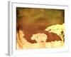 Safari Sunrise II-Pam Ilosky-Framed Art Print