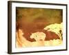 Safari Sunrise II-Pam Ilosky-Framed Art Print