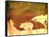 Safari Sunrise II-Pam Ilosky-Framed Stretched Canvas