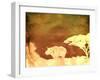 Safari Sunrise II-Pam Ilosky-Framed Art Print