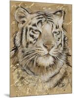 Safari Tiger-Chad Barrett-Mounted Art Print