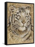 Safari Tiger-Chad Barrett-Framed Stretched Canvas