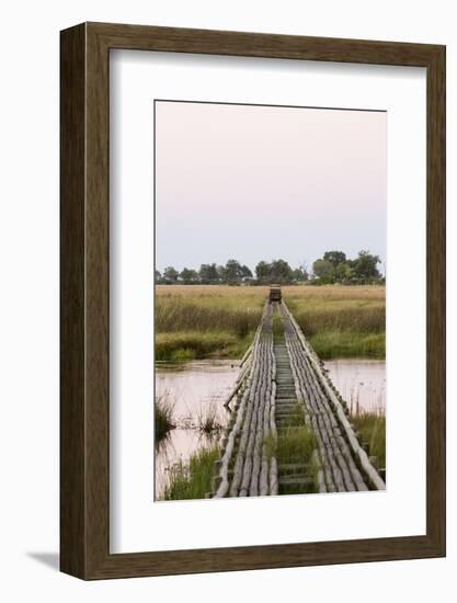 Safari Vehicle Crossing Bridge-Michele Westmorland-Framed Photographic Print