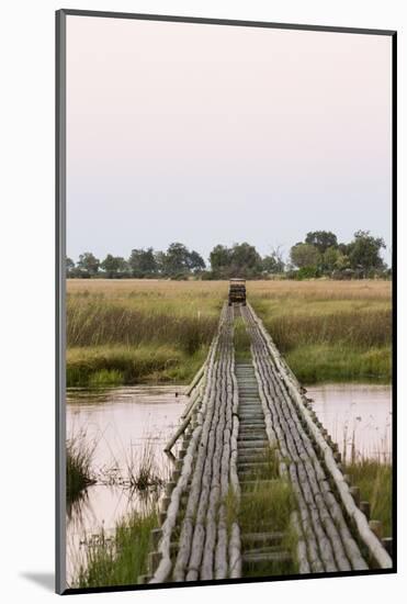 Safari Vehicle Crossing Bridge-Michele Westmorland-Mounted Photographic Print