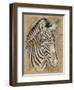 Safari Zebra-Chad Barrett-Framed Art Print