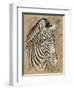 Safari Zebra-Chad Barrett-Framed Art Print