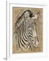 Safari Zebra-Chad Barrett-Framed Art Print