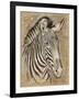 Safari Zebra-Chad Barrett-Framed Art Print