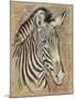 Safari Zebra-Chad Barrett-Mounted Art Print