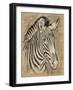 Safari Zebra-Chad Barrett-Framed Art Print