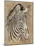 Safari Zebra-Chad Barrett-Mounted Art Print