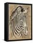 Safari Zebra-Chad Barrett-Framed Stretched Canvas