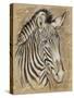 Safari Zebra-Chad Barrett-Stretched Canvas