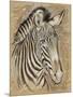 Safari Zebra-Chad Barrett-Mounted Art Print