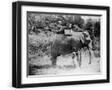 Black Frame