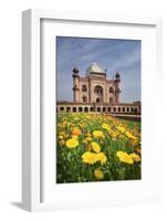 Safdar Jang's Tomb-Jon Hicks-Framed Photographic Print