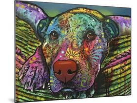 Safe and Sound, Dogs, Animals, Pets, Laying in bed, Stencils, Pop Art-Russo Dean-Mounted Giclee Print