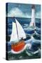 Safe Passage-Peter Adderley-Stretched Canvas