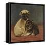 Safe Refuge-John Henry Dolph-Framed Stretched Canvas