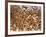 Safety in Numbers (red-billed quelea), Namibia, 2018-Eric Meyer-Framed Photographic Print