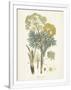 Gramercy White