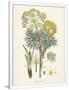 Gramercy White