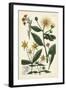 Saffron Garden I-Weinmann-Framed Art Print