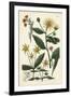 Saffron Garden I-Weinmann-Framed Art Print